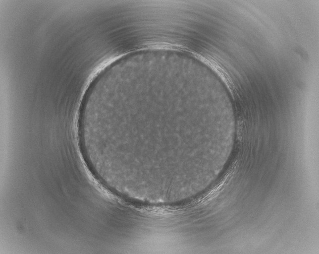 X0000115530995200912181523