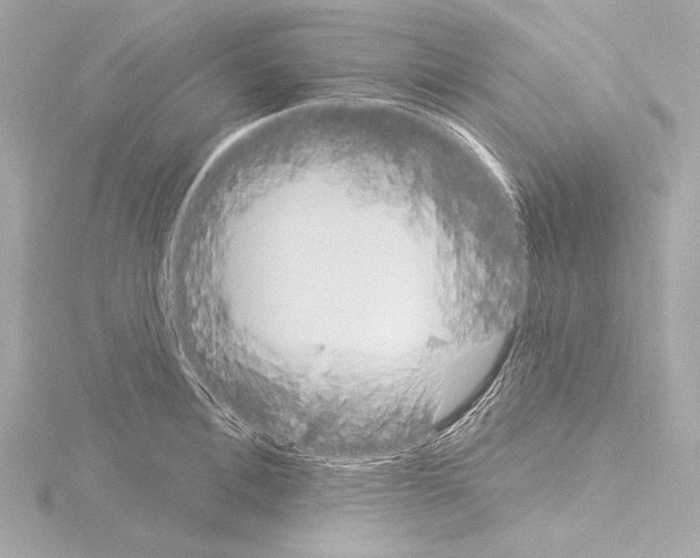 X0000115530996200912181523