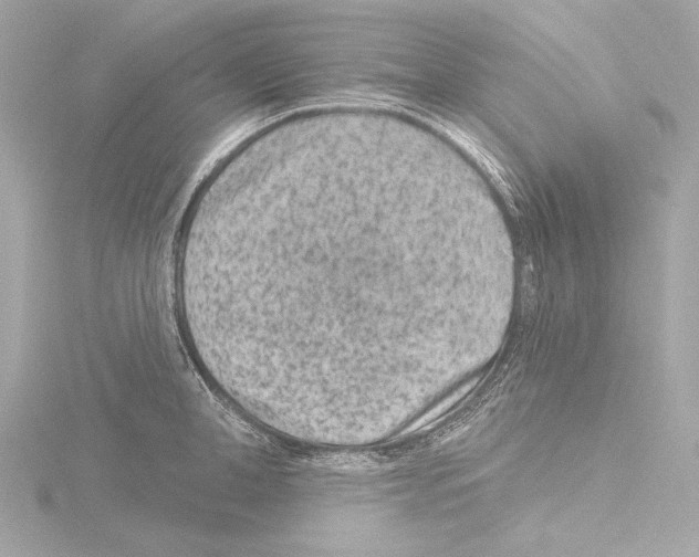 X0000115530998200912181523