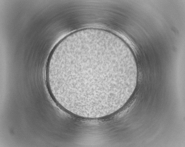 X0000115530999200912181523