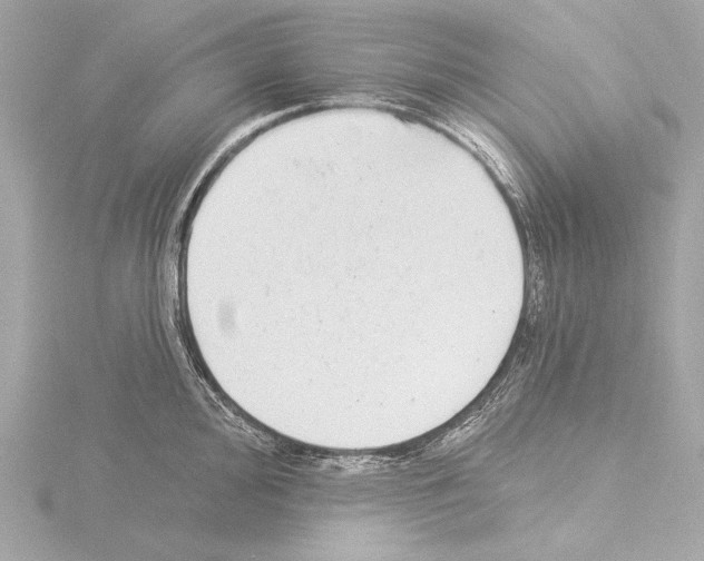 X0000115531000200912181523