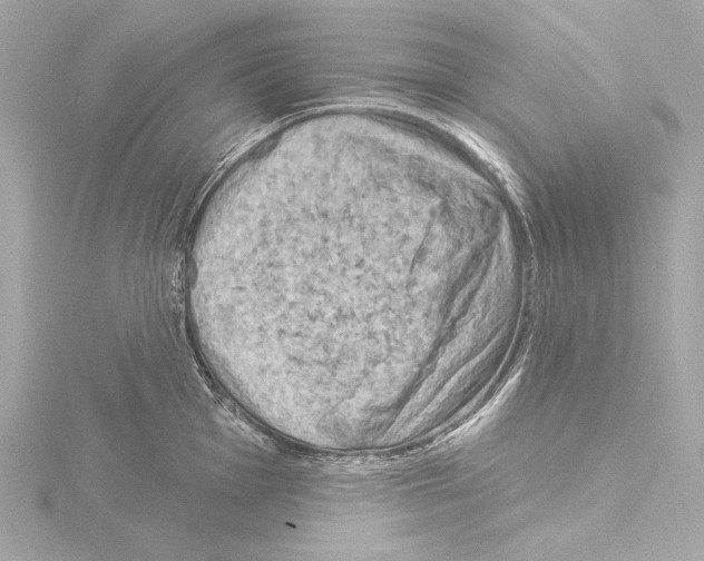 X0000115531001200912181523