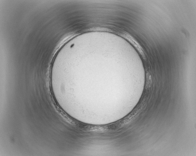 X0000115531002200912181523