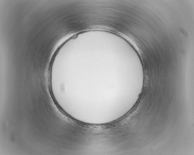 X0000115531003200912181523