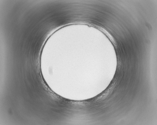 X0000115531004200912181523