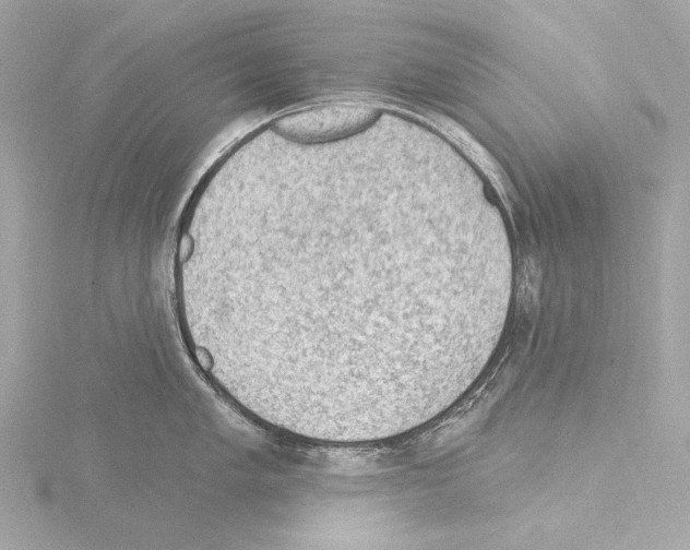 X0000115531005200912181523