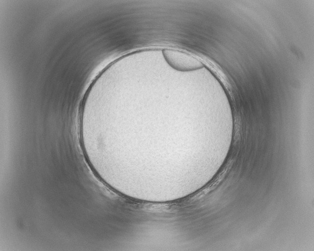 X0000115531006200912181523