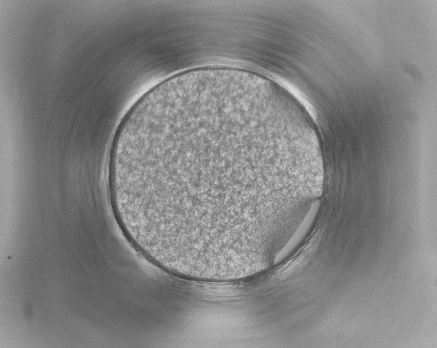 X0000115531007200912181523