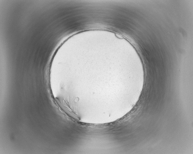 X0000115531008200912181523