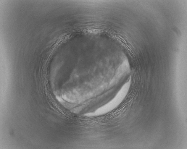 X0000115531009200912181522