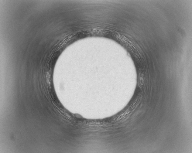 X0000115531010200912181522