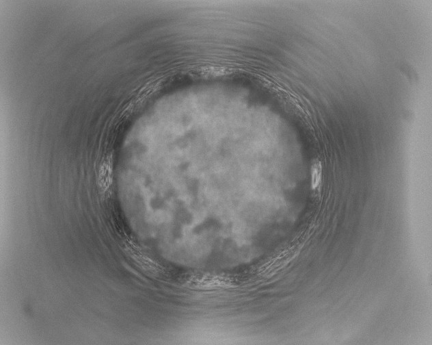 X0000115531011200912181522