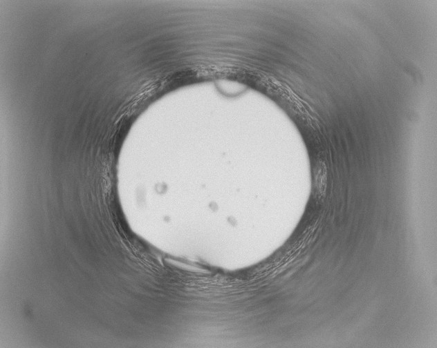 X0000115531012200912181522