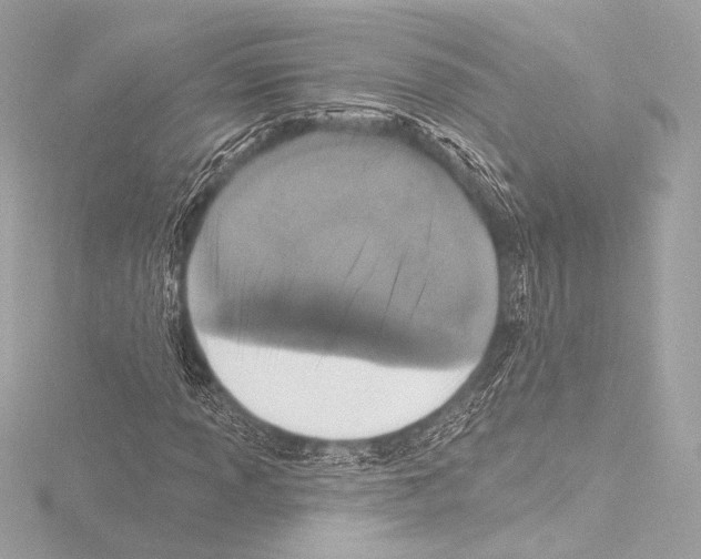 X0000115531013200912181522