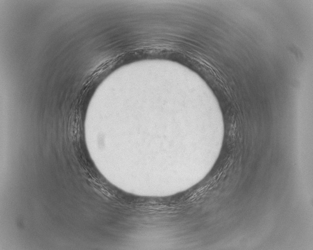 X0000115531014200912181522