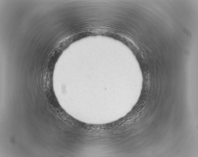 X0000115531016200912181522