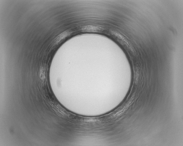 X0000115531017200912181522