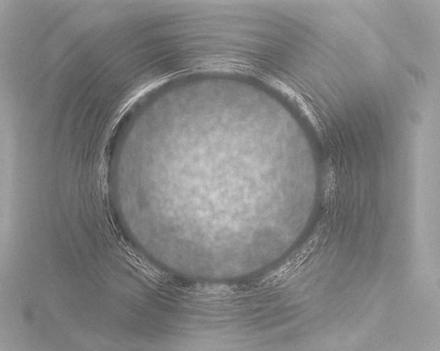 X0000115531019200912181522