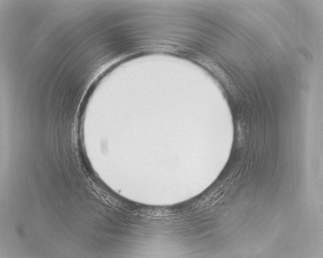 X0000115531020200912181522