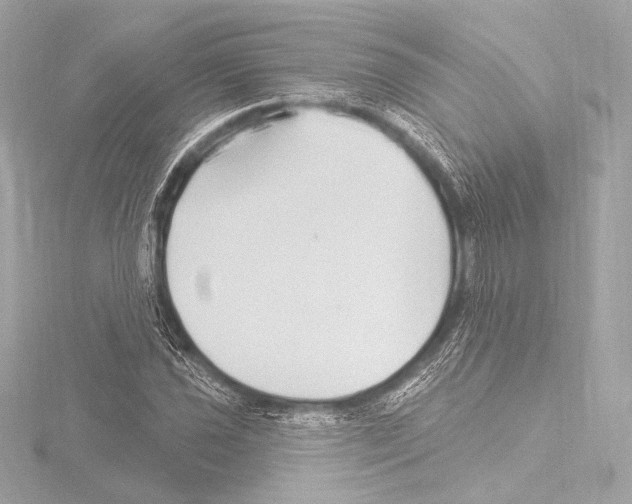 X0000115531021200912181522