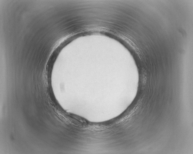 X0000115531022200912181522