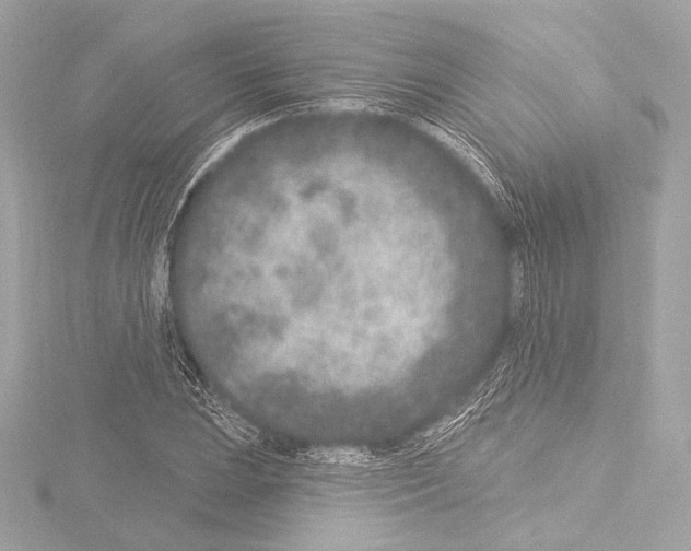 X0000115531023200912181522