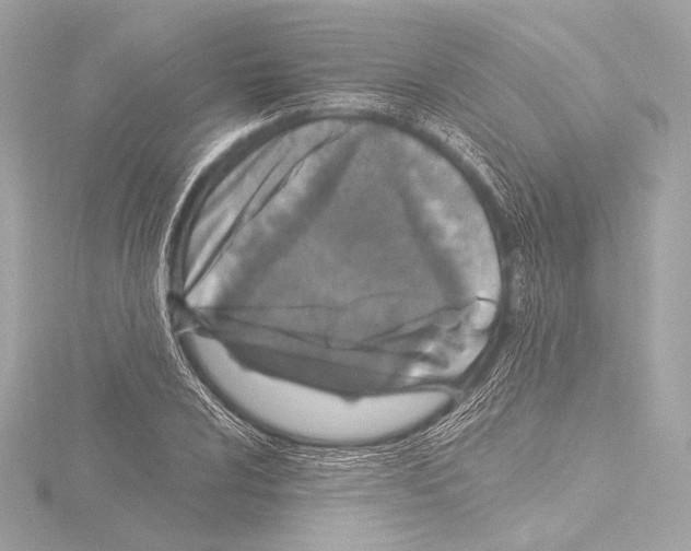 X0000115531024200912181522