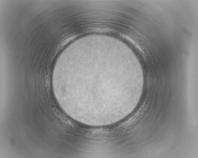 X0000115531025200912181522