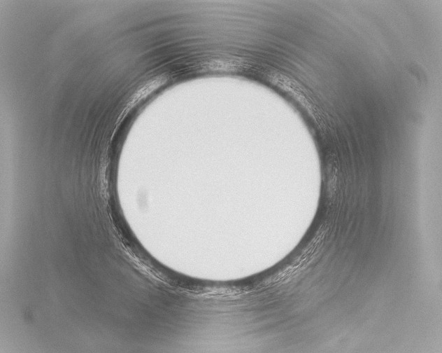 X0000115531026200912181522