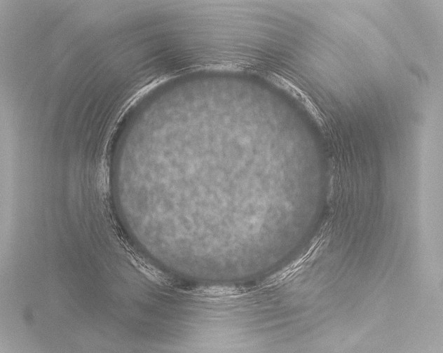 X0000115531027200912181522