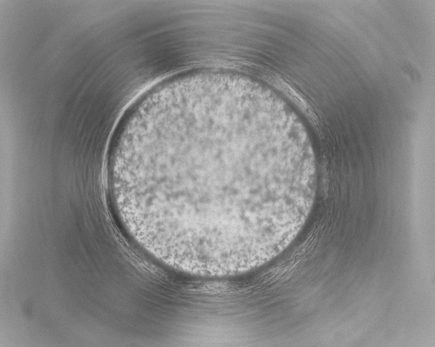 X0000115531028200912181522