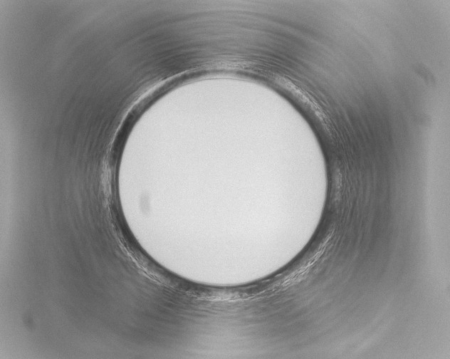 X0000115531029200912181522