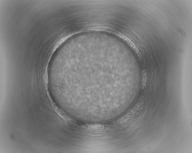 X0000115531031200912181522