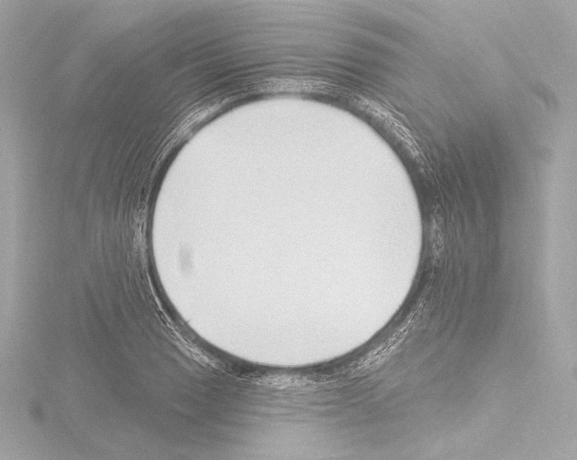 X0000115531033200912181522