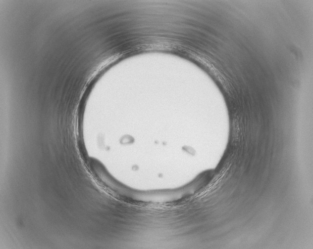 X0000115531034200912181522