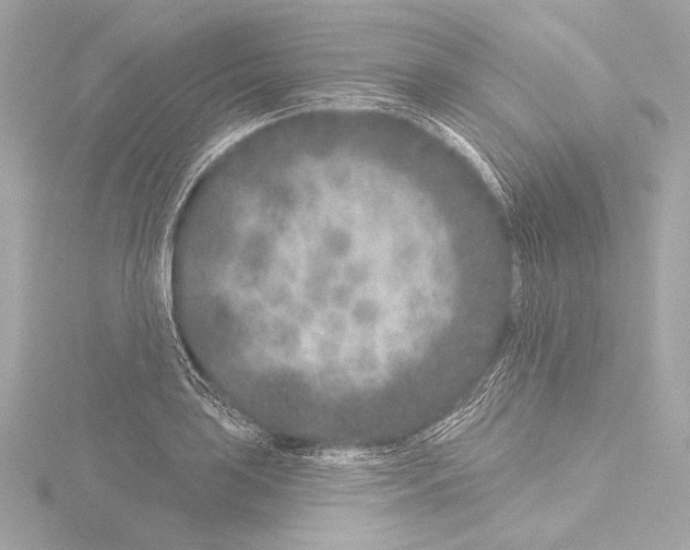 X0000115531035200912181523