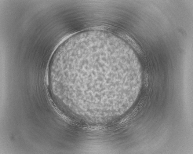 X0000115531036200912181523