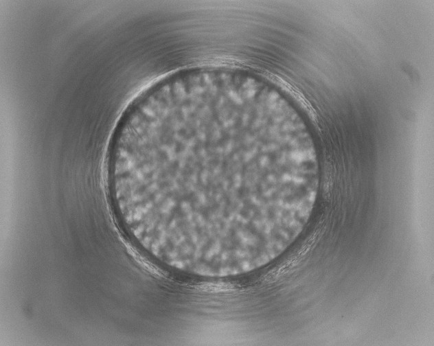 X0000115531037200912181523