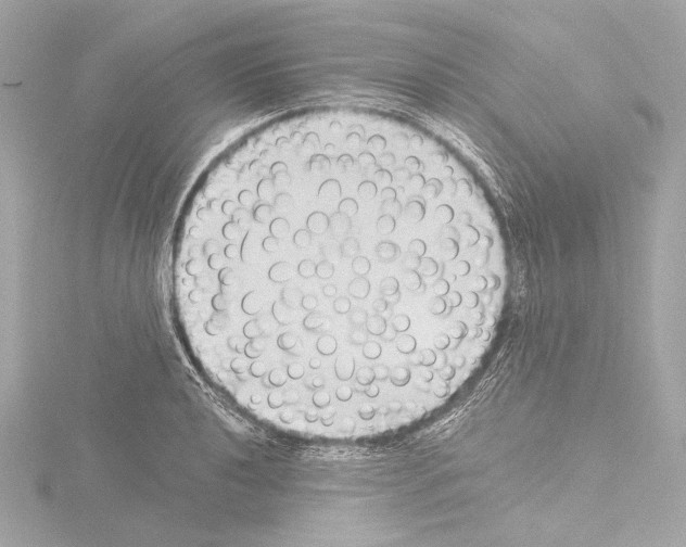 X0000115531040200912181523