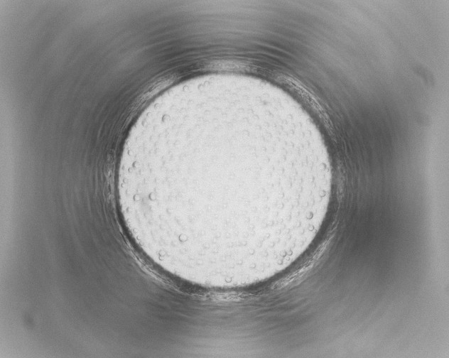 X0000115531041200912181523