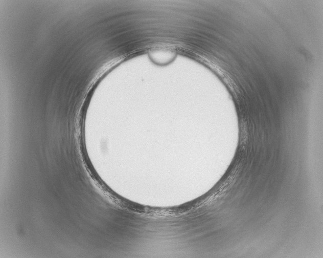 X0000115531042200912181523