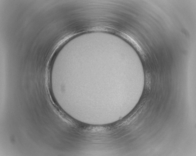 X0000115531043200912181523