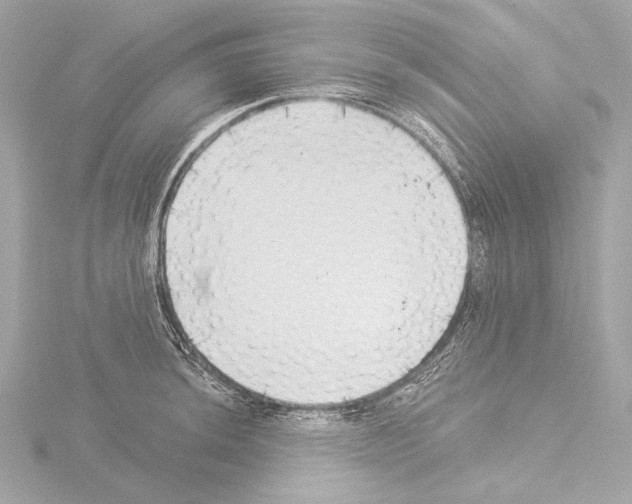 X0000115531044200912181523