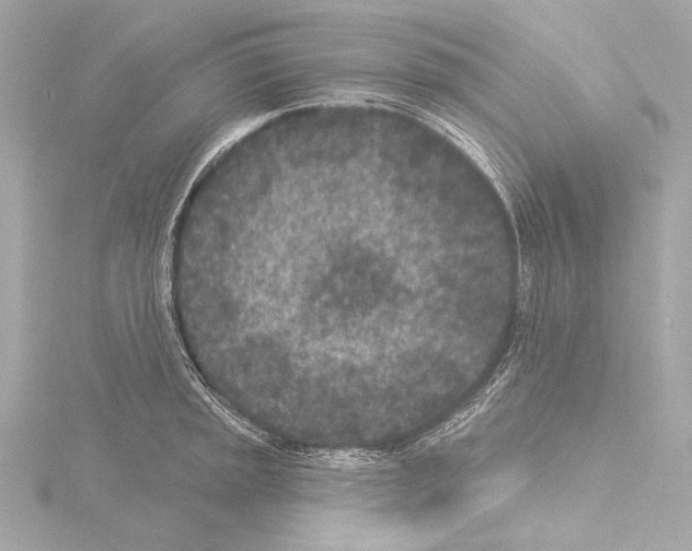 X0000115531045200912181523