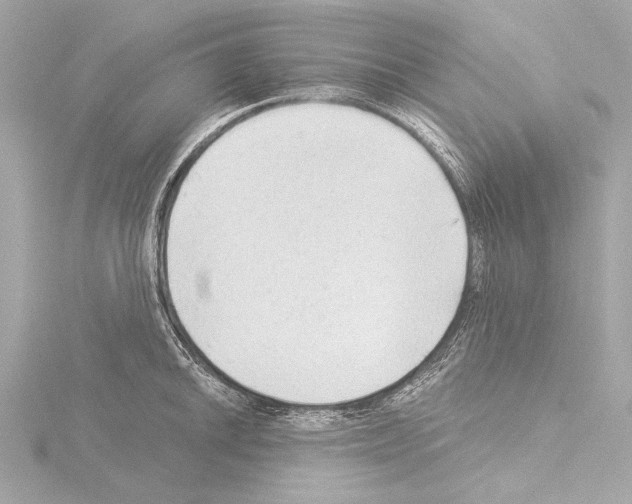 X0000115531046200912181523