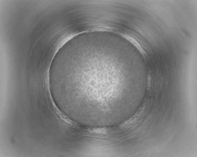 X0000115531047200912181523