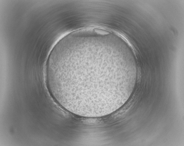 X0000115531048200912181523