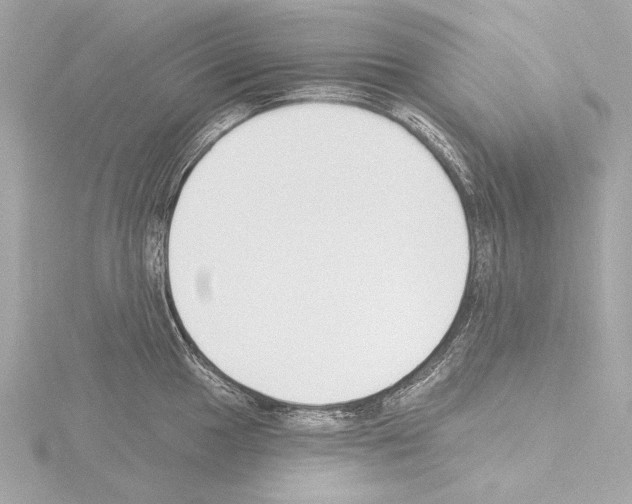 X0000115531049200912181523