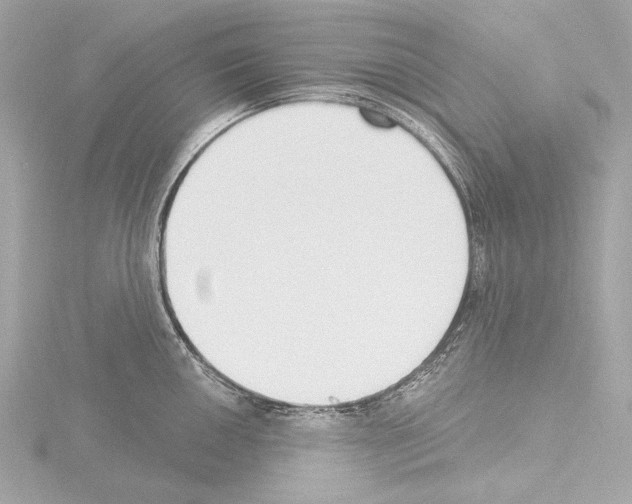 X0000115531050200912181523