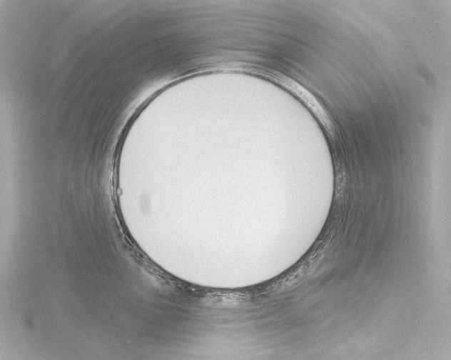 X0000115531051200912181523